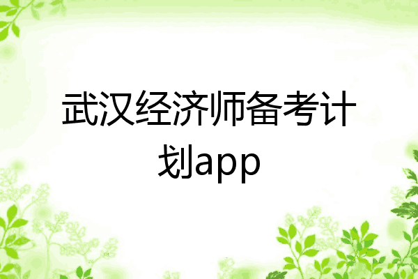 武汉经济师备考计划app