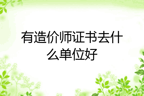 有造价师证书去什么单位好