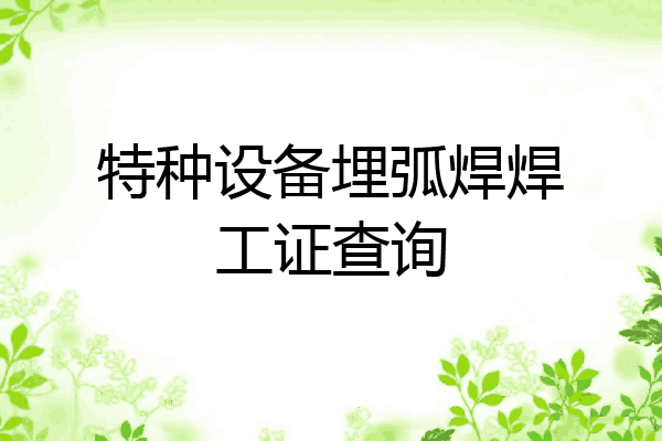 特种设备埋弧焊焊工证查询