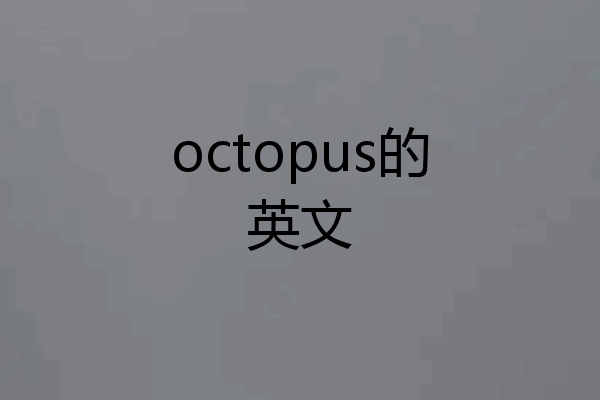 octopus的英文