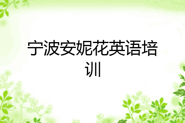 宁波安妮花英语培训