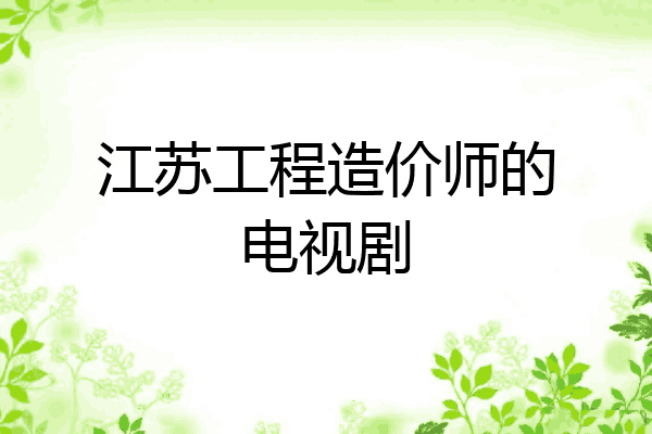 江苏工程造价师的电视剧