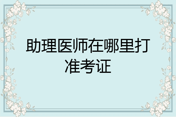 助理医师在哪里打准考证