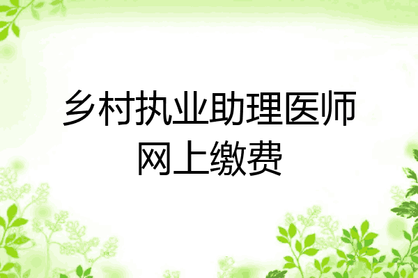 乡村执业助理医师网上缴费
