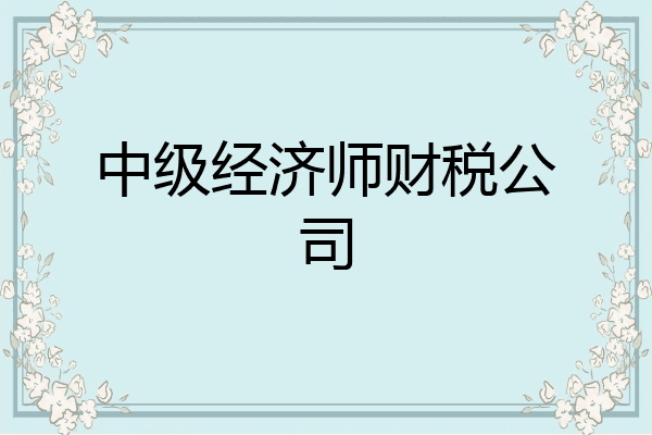 中级经济师财税公司