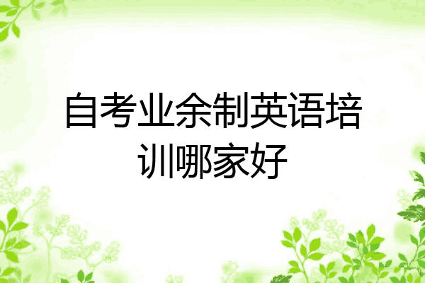 自考业余制英语培训哪家好
