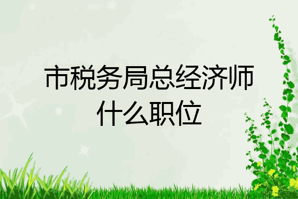 市税务局总经济师什么职位