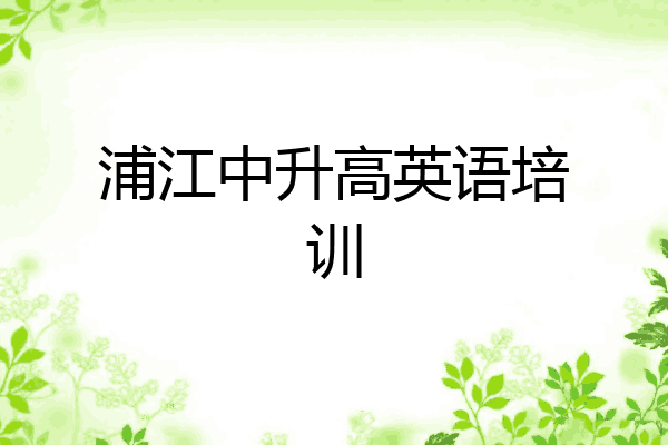 浦江中升高英语培训
