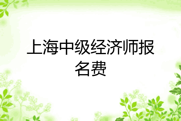 上海中级经济师报名费