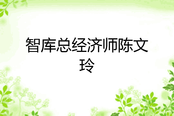 智库总经济师陈文玲
