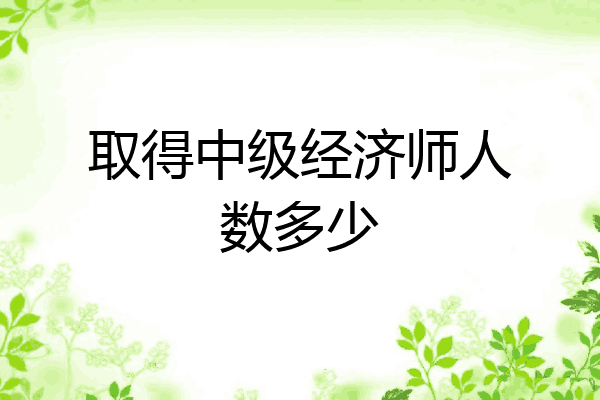 取得中级经济师人数多少