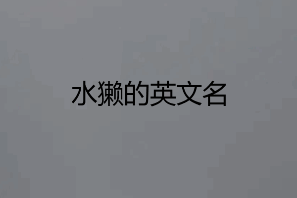 水獭的英文名