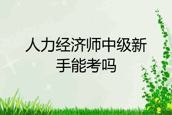 人力经济师中级新手能考吗