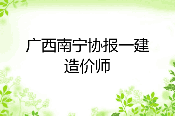 广西南宁协报一建造价师