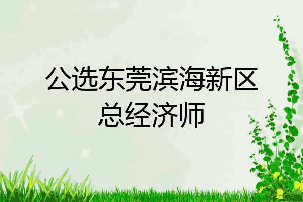 公选东莞滨海新区总经济师