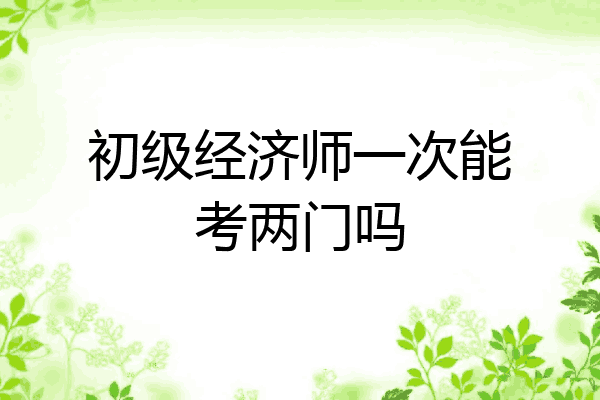 初级经济师一次能考两门吗