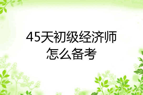 45天初级经济师怎么备考