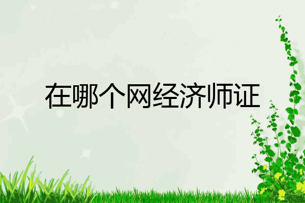 在哪个网经济师证