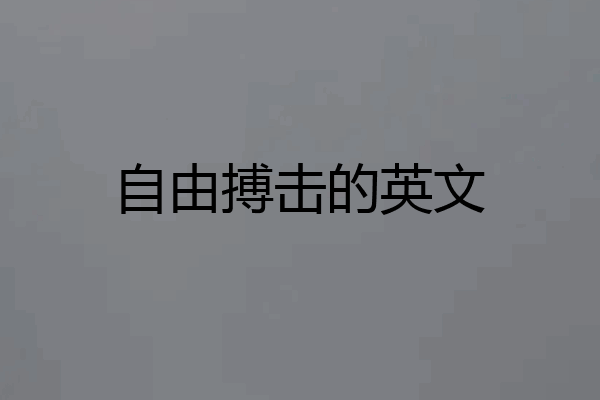 自由搏击的英文