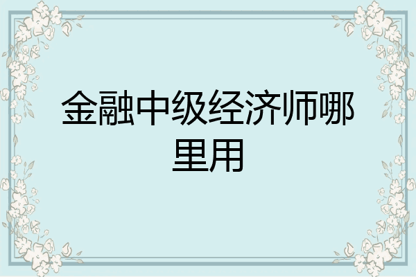 金融中级经济师哪里用