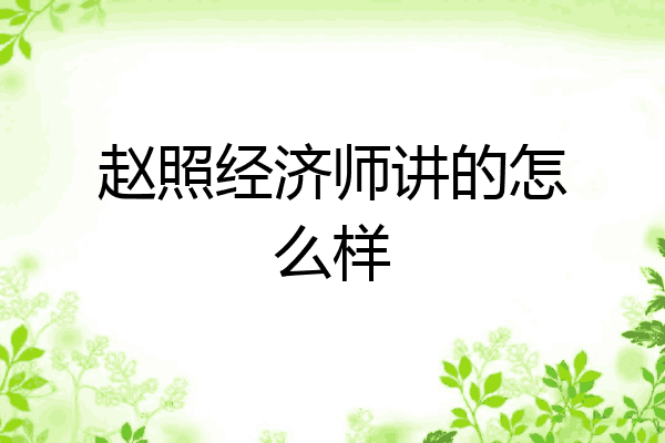 赵照经济师讲的怎么样