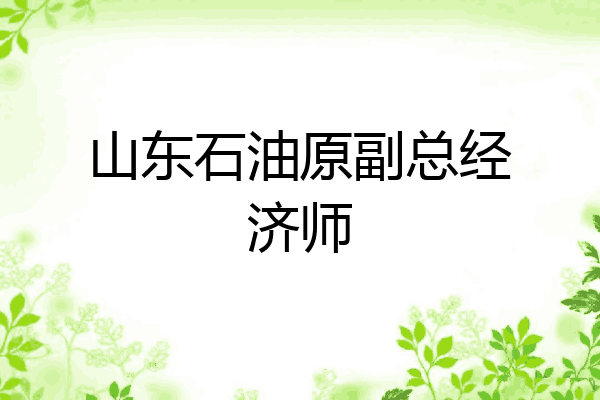 山东石油原副总经济师