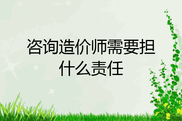 咨询造价师需要担什么责任