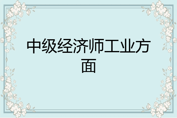 中级经济师工业方面