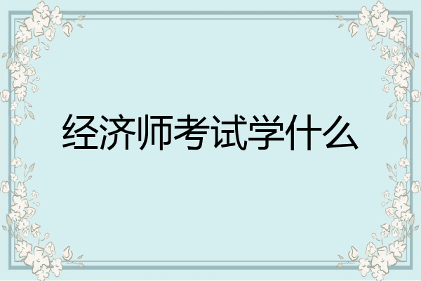 经济师考试学什么