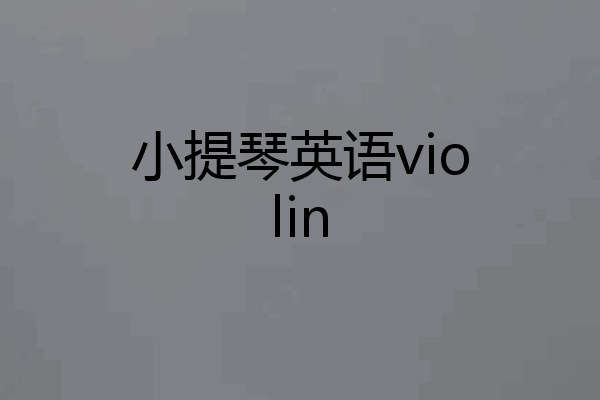 小提琴英语violin
