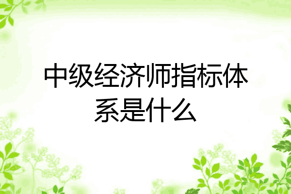 中级经济师指标体系是什么