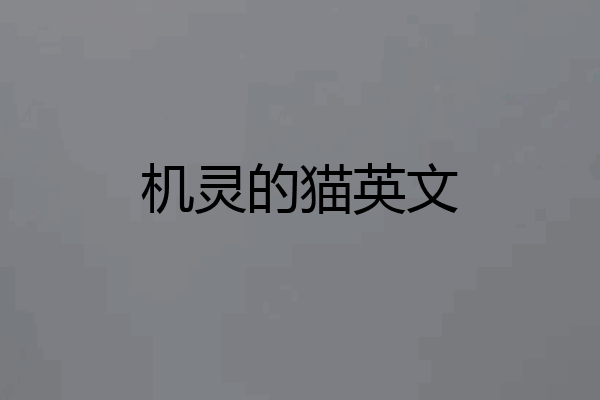 机灵的猫英文