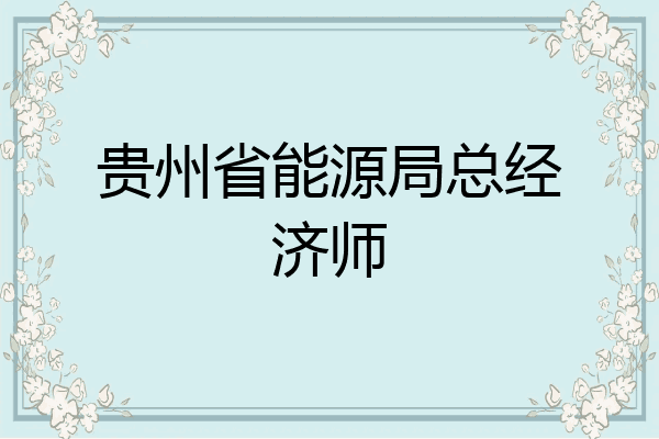 贵州省能源局总经济师