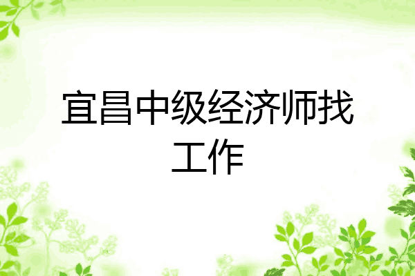 宜昌中级经济师找工作