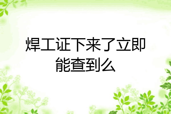 焊工证下来了立即能查到么