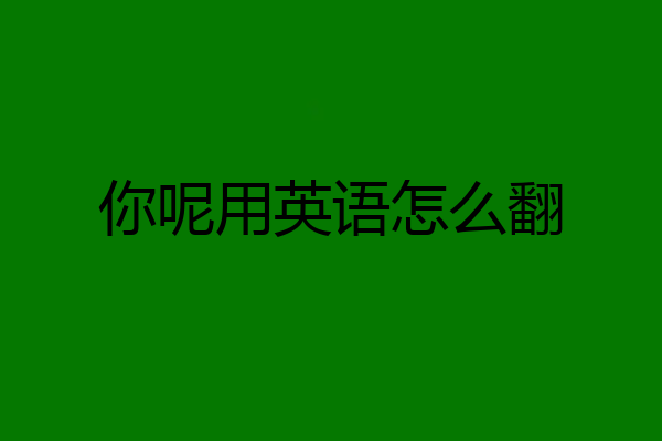 你呢用英语怎么翻