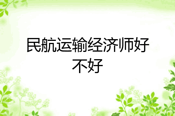 民航运输经济师好不好