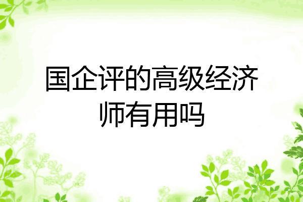国企评的高级经济师有用吗