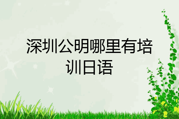 深圳公明哪里有培训日语