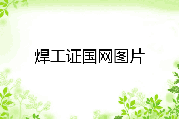 焊工证国网图片