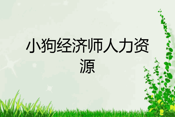 小狗经济师人力资源