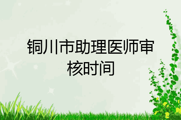 铜川市助理医师审核时间
