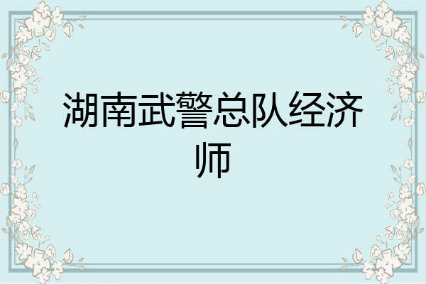 湖南武警总队经济师