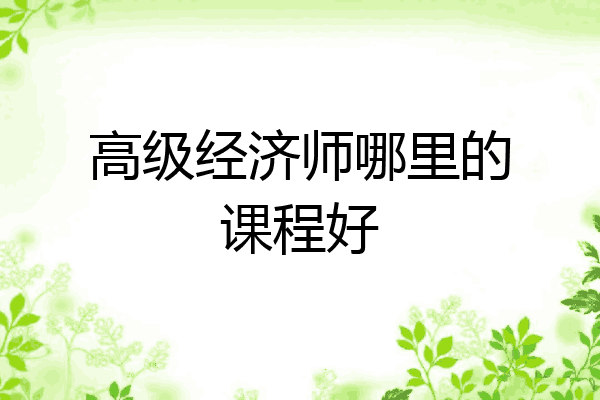 高级经济师哪里的课程好