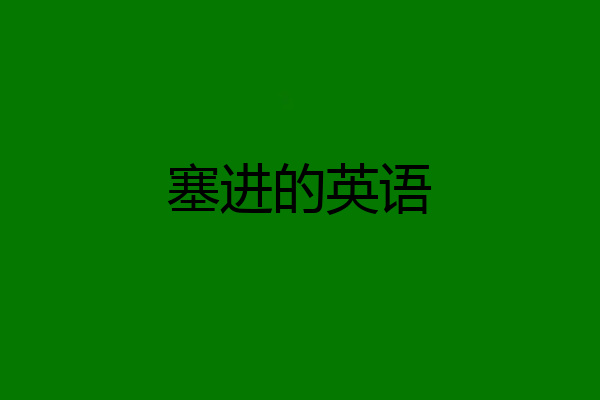 塞进的英语