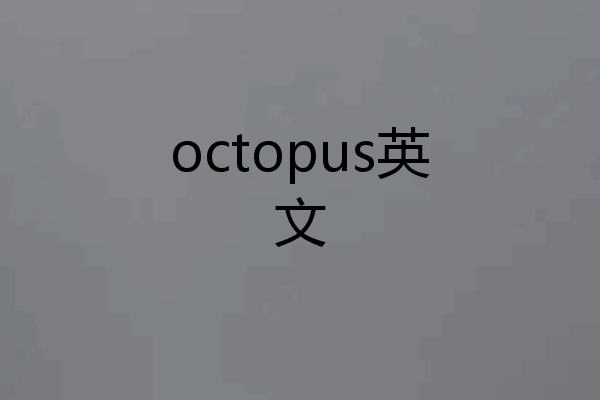 octopus英文