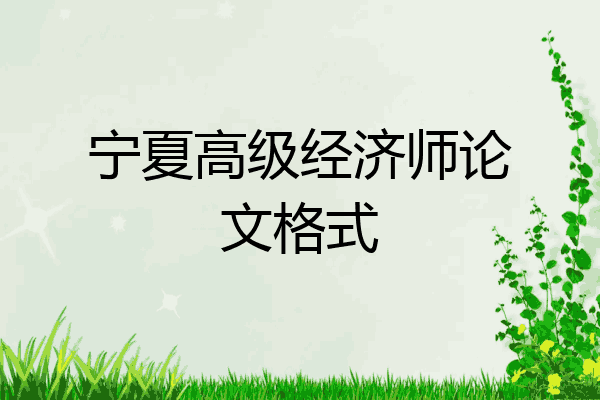 宁夏高级经济师论文格式