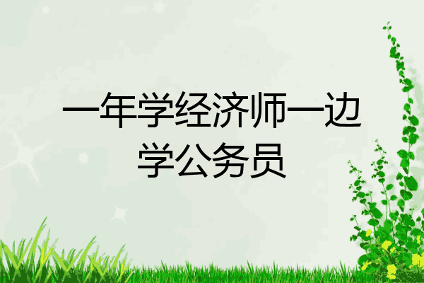 一年学经济师一边学公务员