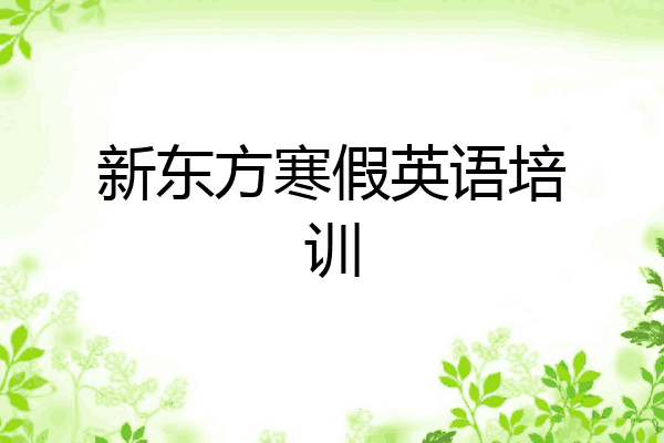 新东方寒假英语培训