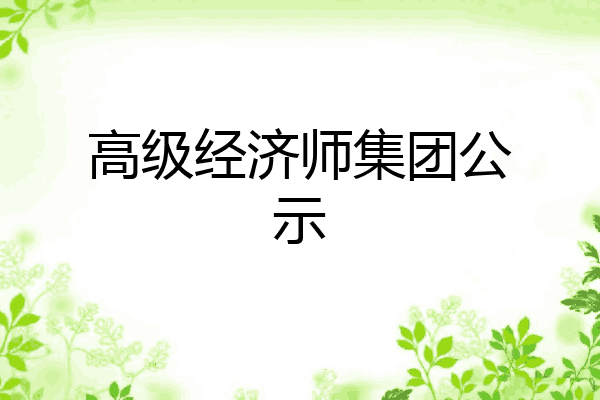 高级经济师集团公示